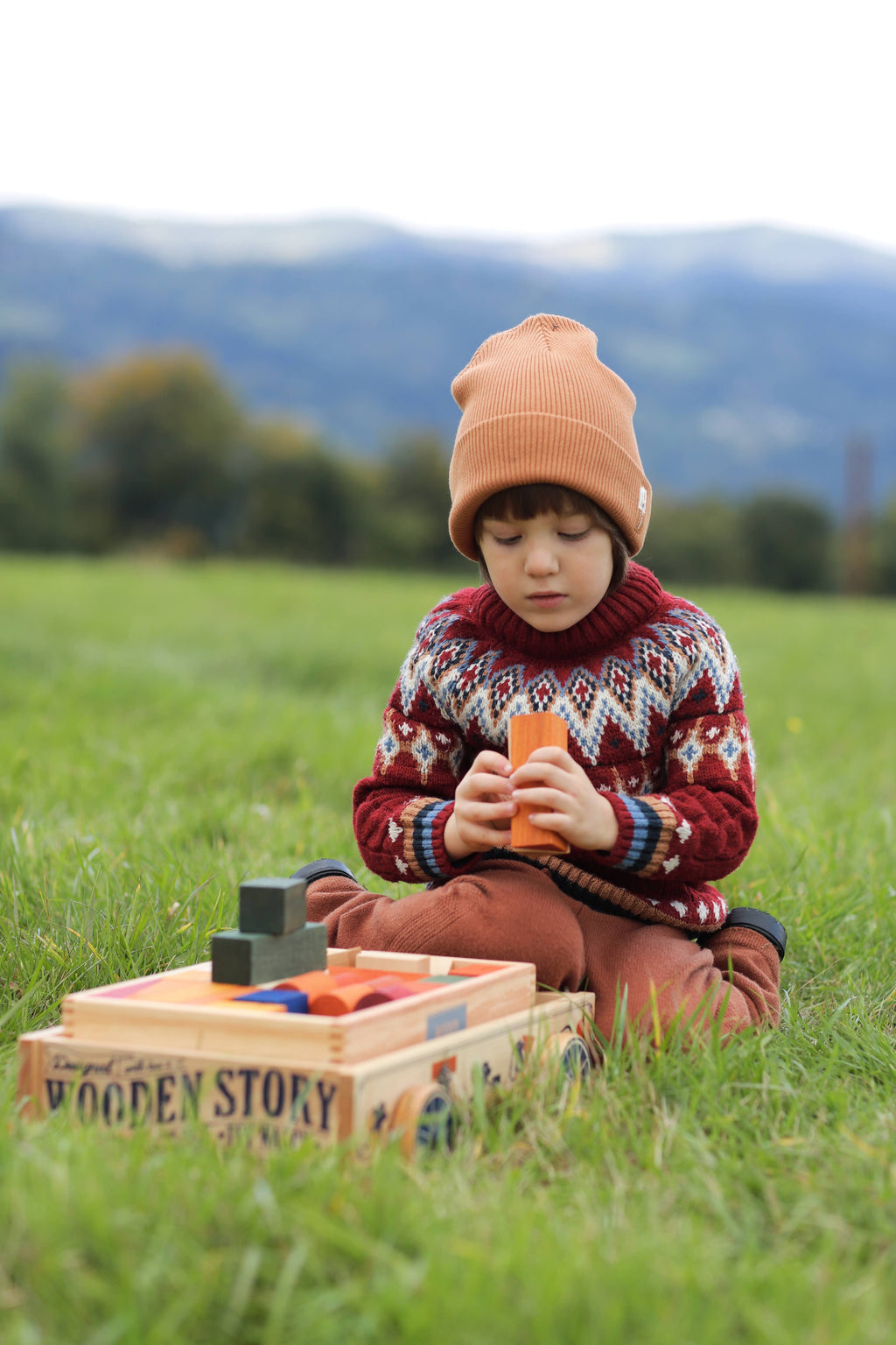Wooden trolley - Toy wagon