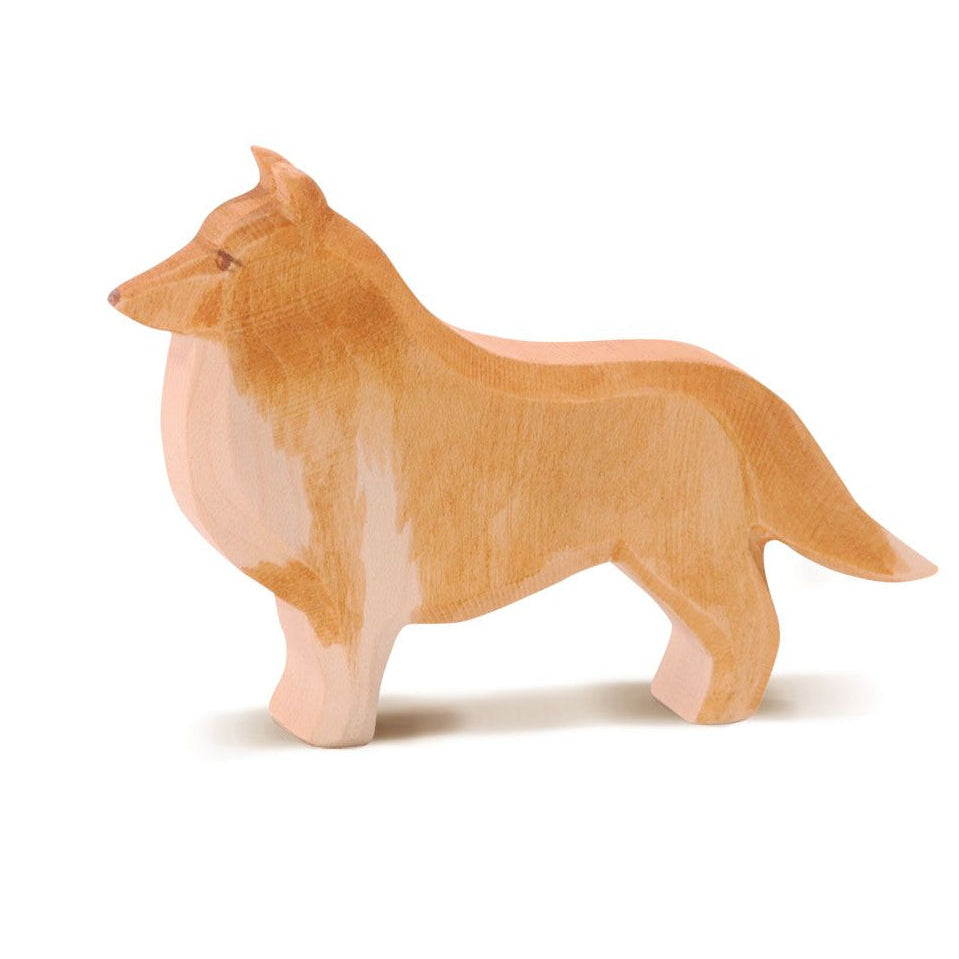 Ostheimer Collie Dog