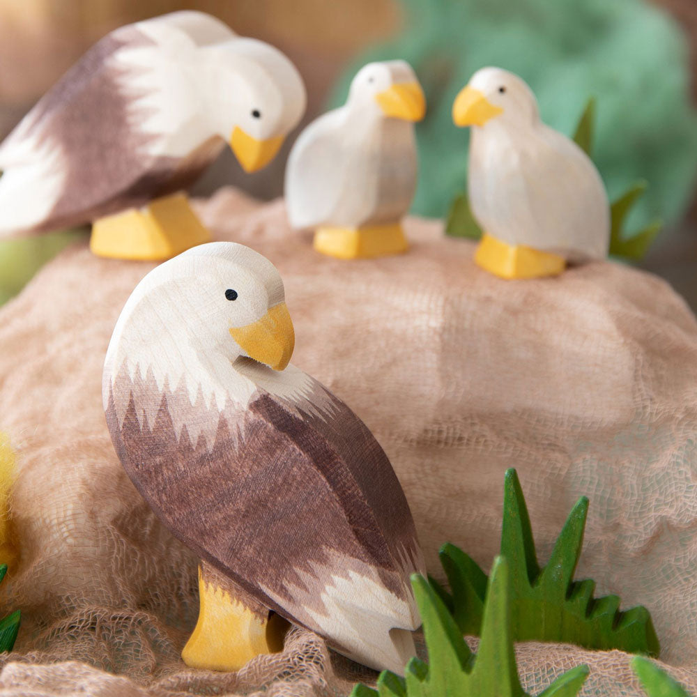 Ostheimer Bald Eagle standing