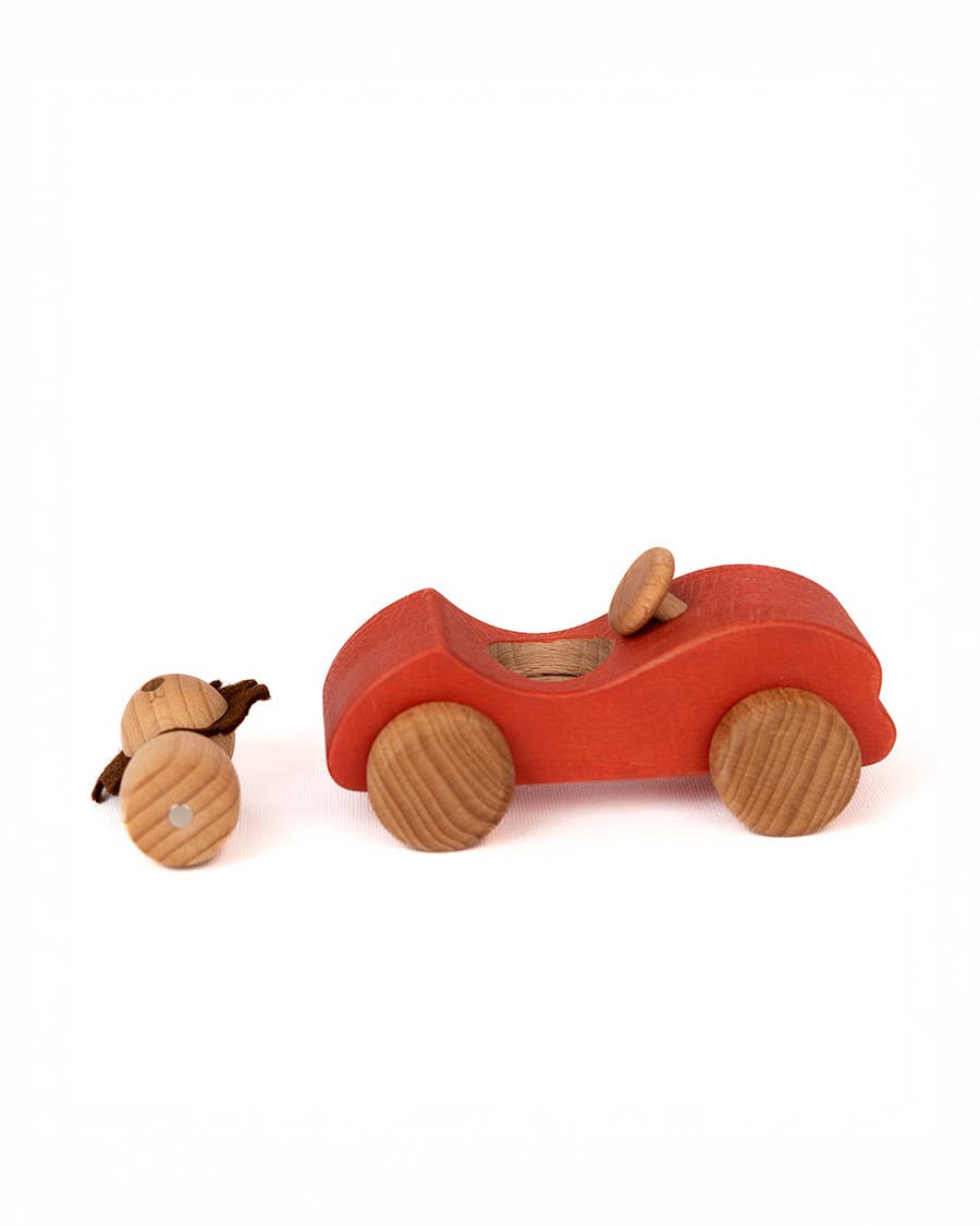 Car Lion